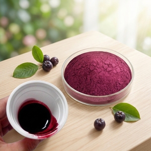 Extrait de baies d'<span class=keywords><strong>aronia</strong></span> en poudre, jus de fruit de sureau 25% 4:1 10:1 20:1, soluble dans <span class=keywords><strong>l</strong></span>'eau, qualité alimentaire - Product Image 4