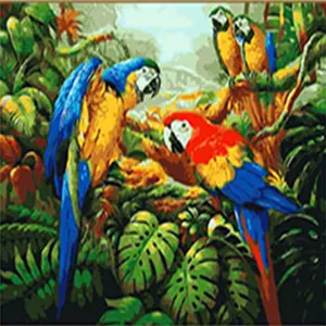 CHENISTORR DZ992668鹦鹉画油画数字画动物画框16x 20英寸