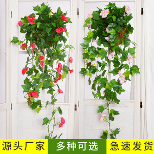 Artificial Morning Glory Wall Hanging Plastic Silk Flower Indoor Decoration High Simulation <b>Leaves</b> - Product Image 6