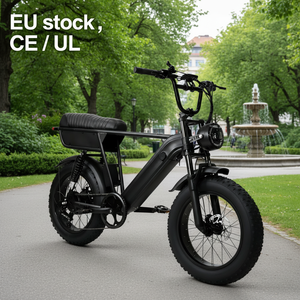 Vélo électrique Y20 Plus à gros pneus, batterie lithium 48V 250W 15Ah, freins à disque hydrauliques, Shimano 7 vitesses, sans droits de douane, en stock UE - Product Image 1