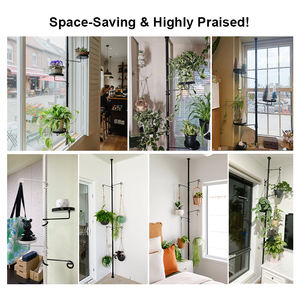 Support <span class=keywords><strong>de</strong></span> plante <span class=keywords><strong>pour</strong></span> fenêtre YIJIALE, support <span class=keywords><strong>de</strong></span> plante en acier <span class=keywords><strong>pour</strong></span> fenêtre, support <span class=keywords><strong>de</strong></span> plante <span class=keywords><strong>pour</strong></span> fenêtre, support <span class=keywords><strong>de</strong></span> plante <span class=keywords><strong>pour</strong></span> fenêtre, support <span class=keywords><strong>de</strong></span> plante <span class=keywords><strong>pour</strong></span> fenêtre, support <span class=keywords><strong>de</strong></span> plante <span class=keywords><strong>pour</strong></span> fenêtre, support <span class=keywords><strong>de</strong></span> plante <span class=keywords><strong>pour</strong></span> fenêtre, support <span class=keywords><strong>de</strong></span> plante <span class=keywords><strong>pour</strong></span> fenêtre, support <span class=keywords><strong>de</strong></span> plante <span class=keywords><strong>pour</strong></span> fenêtre - Product Image 2