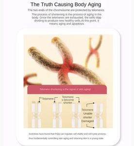 Антиоксидантные пищевые добавки для здоровья мозга - Product Image 2