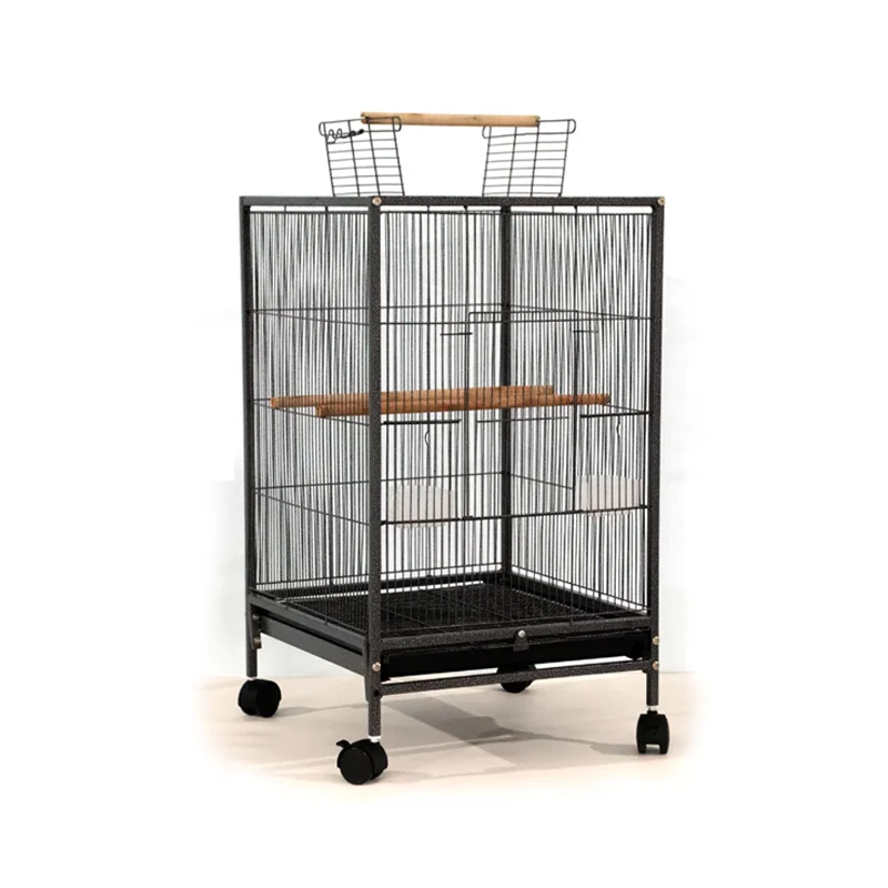 cages for birds and parrots