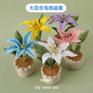 CLTF Fleur Artificielle À La Main Crochet Lily Pot De Fleur <span class=keywords><strong>Mignon</strong></span> <span class=keywords><strong>Cadeau</strong></span> <span class=keywords><strong>pour</strong></span> <span class=keywords><strong>Sa</strong></span> Petite Amie Amie Collègue Crochet Bouquet De Fleurs - Product Image 2