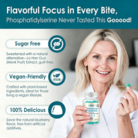 Gummies véganes de phosphatidylsérine 300mg à marque privée OEM pour la mémoire et la concentration des adultes – Soutien cérébral nootropique 10-en-1