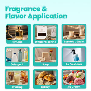 زيوت عطرية مركزة من ماركات شهيرة للبيع بالجملة زيت عطري فاخر - Product Image 6