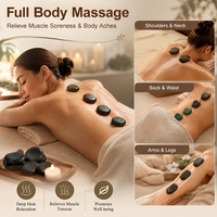 Ensemble chauffe-pierres de massage en basalte, kit de pierres chaudes, idéal pour les massages de spa, la relaxation et le soulagement de la douleur