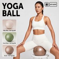 Ballon de Pilates Mini en PVC Morandi 22 cm avec Logo Personnalisé, Ballon de Fitness Gonflable Anti-éclatement pour Entraînement du Plancher Pelvien et Récupération Post-partum Yoga