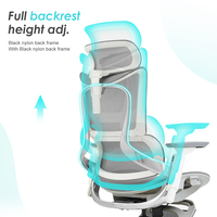 Chaise de bureau ergonomique classique avec support lombaire, certifiée BIFMA, vente en gros, idéale pour les douleurs dorsales, avec repose-pieds