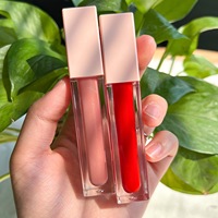 Gloss à lèvres liquide hydratant longue tenue non collant, 100 couleurs, marque privée, logo personnalisé