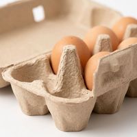 Plateau à œufs en carton recyclable et biodégradable à 12 alvéoles, en pâte à papier, qualité alimentaire, personnalisable