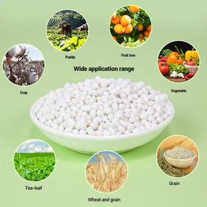 Engrais azoté Sulfate <span class=keywords><strong>d</strong></span>'ammonium N 21% Cristal et <span class=keywords><strong>poudre</strong></span> <span class=keywords><strong>d</strong></span>'<span class=keywords><strong>alun</strong></span> <span class=keywords><strong>d</strong></span>'ammonium granulaire Emballé 25kg/50lb - Product Image 3