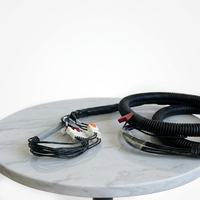 Kabel Harness Kustom OEM JST PH2.0 IP66 untuk Mobil, Motor & Komputer - Perakitan Kabel PVC/Tembaga Berlapis Timah IATF16949