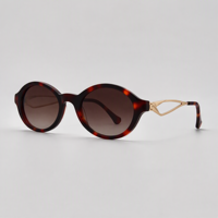 Lunettes de soleil polarisées ovales de petite taille de haute qualité avec logo personnalisé Lmamba, colorées, élégantes, en acétate haut de gamme, protection UV