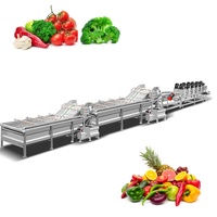 Automatische groentewasinstallatie met vortextechnologie, industriële oplossing voor het reinigen van fruit en groenten, te koop.
