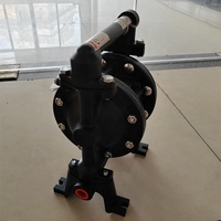 Pompe marine de fournisseur d'or pour l'eau de mer, pompes pneumatiques à membrane PD05P-AAS-PTT d'ARO avec des films de PTFE