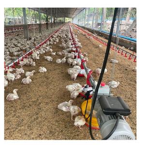 2024 ZHONGYU kaleter productos más vendidos ajustable Cock pan tipo Hank sistema de alimentación de dragón - Product Image 4