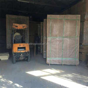 Thương mại Trung Quốc nhà máy ván dăm 28mm/30mm/33mm hình ống Lõi Rỗng ván cho cửa nội thất - Product Image 3