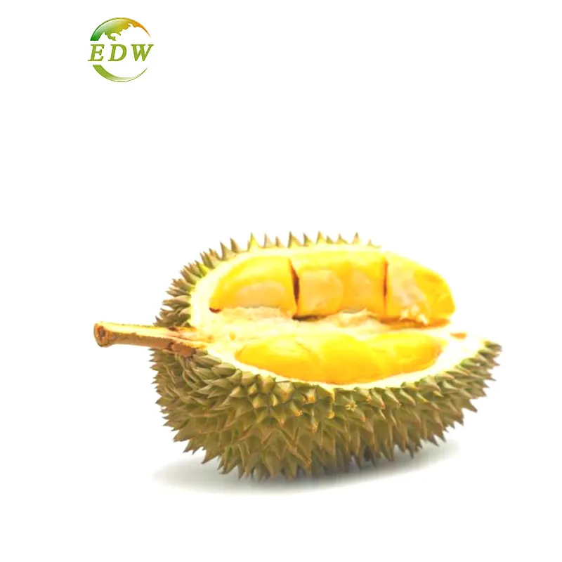 Organic Food Grade Durian Extract Water-Soluble Fresh Durian Fruit Flavor Powder for Ice Cream Baking Smoothies in Bulk