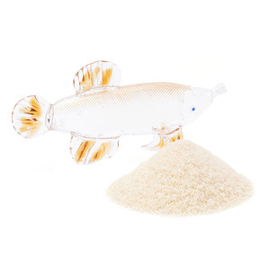 Peau d'animal Peau de poisson Gélatine <span class=keywords><strong>200</strong></span> <span class=keywords><strong>Bloom</strong></span> - Product Image 1