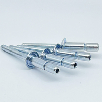 Rivets tubulaires mono-boulons en acier inoxydable, finition brillante, multi-normes, rivets aveugles