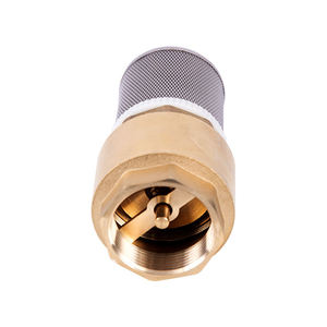 Vanne de retenue verticale en laiton |   Vanne anti-retour filetée femelle pour systèmes de lutte contre l'incendie et d'approvisionnement en eau, incendies de classe A/B - Product Image 1