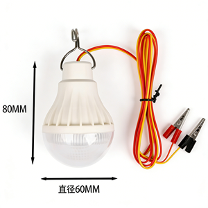Lámpara Fluorescente para Camping, Soporte Vertical, Iluminación Exterior, DC12V 30W, IP67 Impermeable, Certificación RoHS/CE/FCC, Regulable - Product Image 4