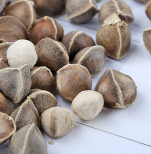 Semi di <span class=keywords><strong>albero</strong></span> di bacchette di semi di rafano essiccati grezzi interi puliti di alta qualità - Product Image 6