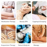 Table de massage pliable portable, vente directe d'usine, cadre en acier inoxydable renforcé, lit de spa pour tatouage, utilisation en salon de thérapie et de massage