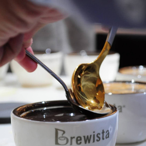 Cucharas de Degustación de Café Brewista de Acero Inoxidable a Precio de Fábrica - Product Image 4