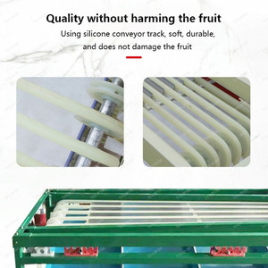 Trieuse <span class=keywords><strong>de</strong></span> pommes <span class=keywords><strong>de</strong></span> terre pour légumes, myrtille, avocat, pastèque, classement et machine à laver - Product Image 4