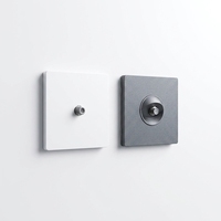 Prise murale TV BENDI C46 norme européenne 86, encastrée, sortie satellite CATV, panneau PC blanc/gris, 16A, IP20, pour maison/hôtel