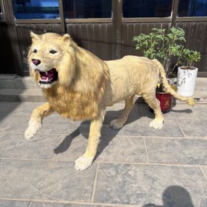Estatua de León de La Selva de buena calidad, molde profesional personalizado, animales de peluche, León para decoración de fiesta - Product Image 2