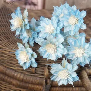 Vero fiore Europeo materiali fatti a mano fiori secchi soggiorno decorazione della stanza Marguerite con materiali realizzati a mano del fiore della Margherita