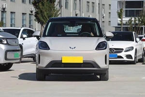 รถยนต์ไฟฟ้า Geely Binguo S 2025 มือสอง รุ่น Advanced วิ่งได้ระยะทาง 325 กม. และ 32,000 กม. ประหยัดน้ำมันและใช้งานได้จริง - Product Image 3