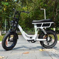 Vélo électrique hybride à gros pneus EB8 Torque en alliage d'aluminium, 500W, roue de 20 pouces, batterie au lithium 48V 18.2AH, double suspension Shimano
