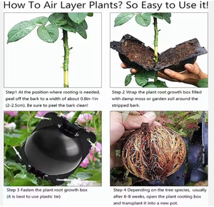 Dispositivo di innesto di sfere di propagazione riutilizzabile ad alta pressione per il controllo della radice di botanica da giardino per la stratificazione dell'aria baccelli per il radicamento delle piante - Product Image 2