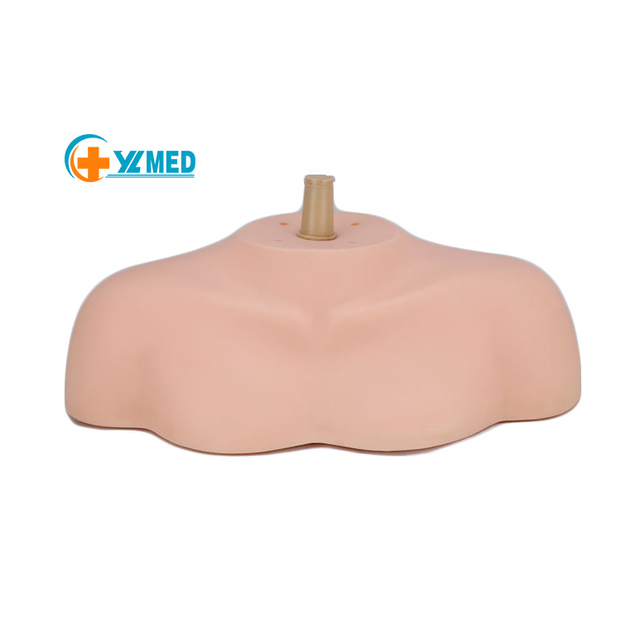 Cosmetology Mannequin Head Bust Shoulder Platform Shoulder for Upper Body Model Training Practice Manikin CE/ISO
