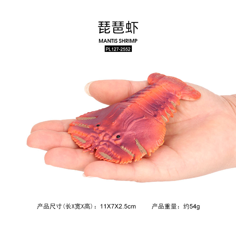 2552 Crevettes Mante