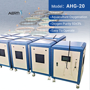 Generador de Oxígeno de Gran Flujo 220V 20L con Carcasa Metálica, Nuevo, Suministro de Fábrica AERTI, Máquina Industrial OEM - Product Image 4