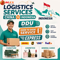 Agent de messagerie certifié DLEX Express DHL FedEx UPS Chine-Indonésie DDU Porte-à-Porte, Suivi en temps réel, Consolidation gratuite