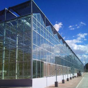 <span class=keywords><strong>Serra</strong></span> Agricola Multi-campata con Sistema di Coltivazione Pomodori, Grande <span class=keywords><strong>Serra</strong></span> per Vivai a Prezzo Conveniente - Product Image 5