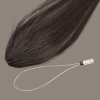 Extensions de cheveux H6 Feather, 100% cheveux humains vierges, nœuds fins invisibles, réutilisables, doux, haute qualité, extensions de cheveux à pointes H pour salon