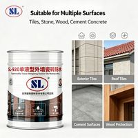 SL-920 Revêtement d'étanchéité transparent résistant aux rayures, colle monocomposant pour la protection des surfaces murales en béton et carrelage extérieur