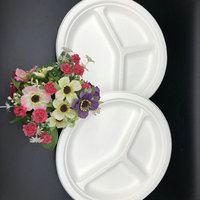 Assiettes de camping en bagasse de canne à sucre de 6, 7, 8, 9, 10 pouces – Offre Spéciale Assiettes biodégradables en bagasse