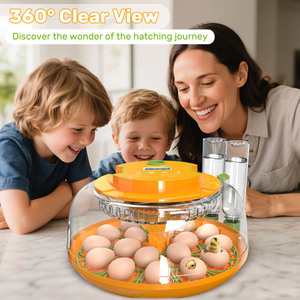 Incubateur d'œufs 2026 en promotion : contrôle précis de la température, contrôle intelligent de l'humidité, retournement automatique des œufs, taux d'éclosion élevé - Product Image 2