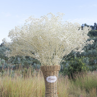 Dekorasi Pernikahan Grosir Bunga Gypsophila Awet Putih Buket Baby's Breath Gypsophila Kering