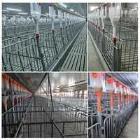 Cage de gestation pour truies, galvanisée à chaud, anti-saut, résistante à la déformation, pour élevage porcin