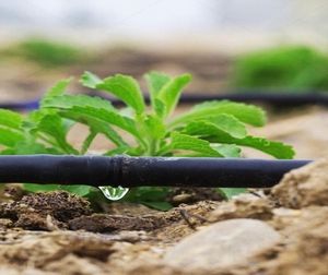 16mm flessibile PE agricoltura tubo di gocciolamento <span class=keywords><strong>per</strong></span> le verdure irrigazione a goccia sistema di irrigazione a goccia <span class=keywords><strong>tubi</strong></span> del tubo - Product Image 1