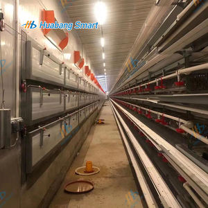 Gabbia di <span class=keywords><strong>quaglia</strong></span> a 6 livelli per allevamento di pollame con capacità di bevitore 800 le quaglie - Product Image 2